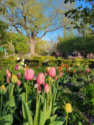 Ten Broeck Mansion gardens