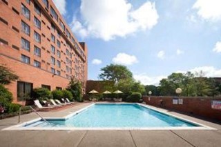 Albany Marriott Pool