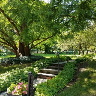 Ten Broeck Mansion gardens