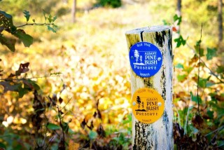 albany pine bush preserve