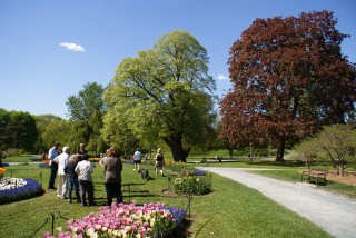 Washington Park -