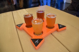 flight