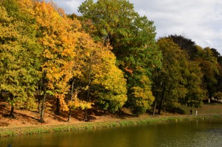 Washington Park - Fall