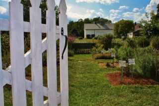 Shaker Garden Gate
