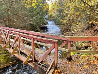 Huyck Preserve