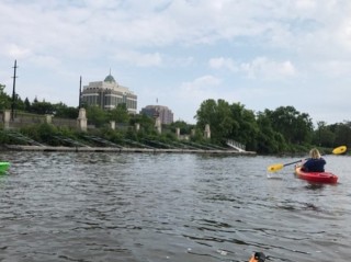 kayaks
