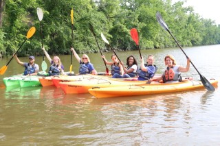 Paddles