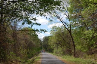 Mohawk Hudson Land Conservancy - Albany County Helderberg Hudson Rail Trail