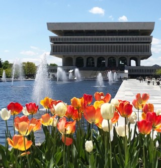 NYS Library