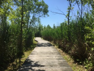 Nature Trail