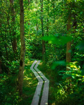 Fox Preserve