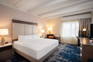 Standard King Guest Room