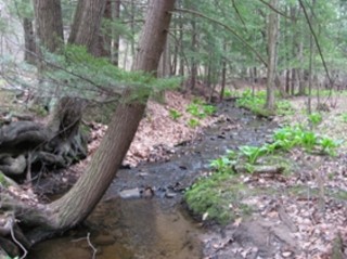 Mohawk Hudson Land Conservancy