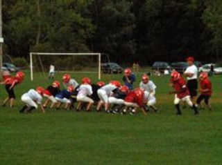nott fields