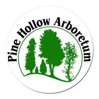 Pine Hollow
