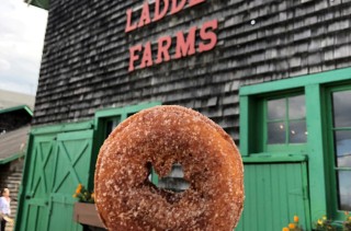 Indian Ladder Farms